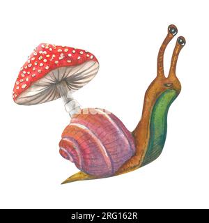 Illustration à l'aquarelle d'escargot et de mouche agaric. Composition faite à la main isolé sur fond blanc Banque D'Images