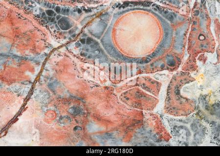 Macro photographie du détail dans un morceau de rhyolite Birds Eye une roche d'origine volcanique Banque D'Images