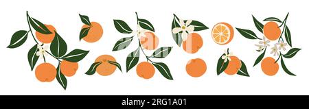 Ensemble de vecteurs oranges abstraites dessinés à la main isolé. Illustration de Vecteur