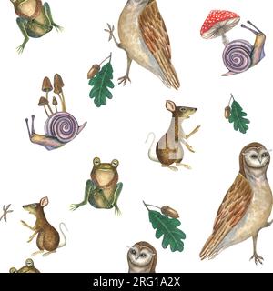 Illustration aquarelle d'un hibou, escargots, champignons toxiques, un rat et une grenouille sur fond blanc. Modèle sans couture pour la conception dessinée à la main Banque D'Images