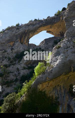 Trou dans le rocher qui ressemble à un dauphin, Mascun Ravine dans les montagnes de Guara. Banque D'Images