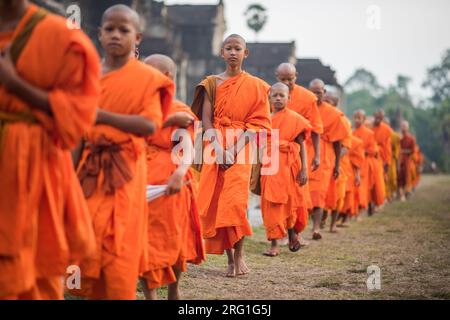 Grand groupe de moines bouddhistes au cours de la célébration de l'Visak Bochea au temple d'Angkor Wat, Siem Reap, Cambodge. Banque D'Images