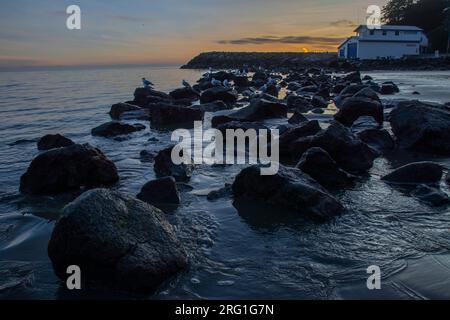 Sumner Beach à Christchurch , Nouvelle-Zélande , où le soleil se couche sur l'océan pacifique Banque D'Images