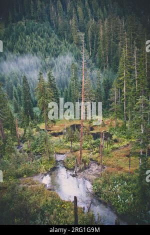 Une vue aérienne d'un petit ruisseau et d'une zone humide. Banque D'Images