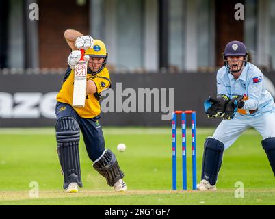 Colin Ingram bat pour Glamorgan dans un match de One-Day Cup contre le Derbyshire Banque D'Images