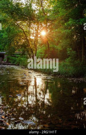 Un éclat de soleil doré brille à travers les arbres feuillus et se reflète dans une rivière Banque D'Images