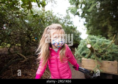 Jeune fille blonde portant un masque, tirant un chariot d'arbre Banque D'Images