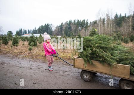 Jeune fille tirant chariot chargé avec arbre de Noël Banque D'Images