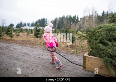 Vue arrière de la jeune fille tirant le chariot avec l'arbre de Noël Banque D'Images