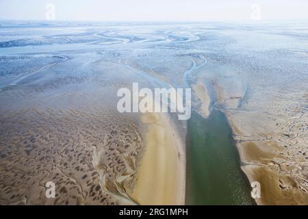 Vue depuis un avion. Les chenaux de marée et les vasières à l'Allemagne de la mer de Wadden. Banque D'Images