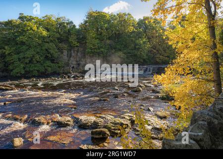 Richmond Falls sur la rivière Swale à Swaledale en automne. Richmond, North Yorkshire, Angleterre, Royaume-Uni, Grande-Bretagne Banque D'Images