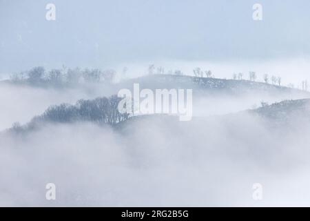 Paysage de montagne, brouillard parmi les sommets de montagne, Campanie, Italie Banque D'Images