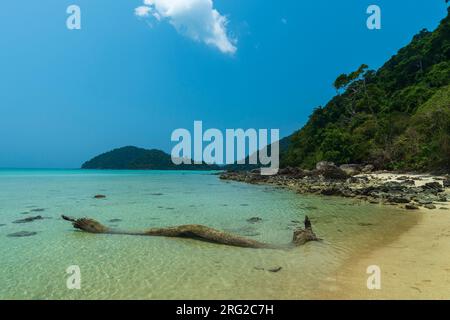 Île de Ko Surin, parc national marin de Mu Koh Surin.Phang Nga, Thaïlande Banque D'Images