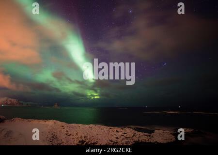 Une aurore borealis au-dessus de la mer à Andenes.Andenes, Iles Vesteralen, Nordland, Norvège. Banque D'Images