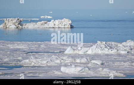 Eiders à lunettes (Somateria fischeri) pendant la saison de reproduction dans l'arctique de l'Alaska, aux États-Unis. Voler au large de la côte crachait de rochers de glace. Banque D'Images