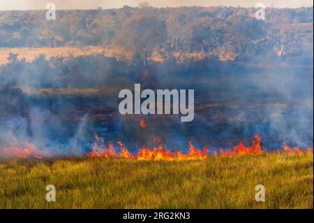 Vue aérienne d'un feu de brousse dans le delta d'Okavango.Delta d'Okavango, Botswana. Banque D'Images