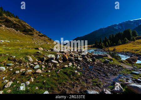 Paysage de vallée d'automne avec rivière de montagne Banque D'Images