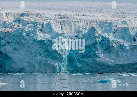 Floe de glace une eau arctique en face du glacier Lilliehook.Lilliehookfjorden, île de Spitsbergen, Svalbard, Norvège. Banque D'Images