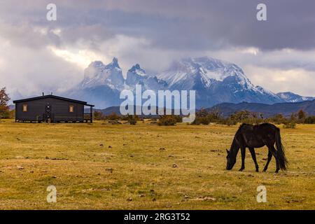 Un cheval devant les nuages bas dans le rétro-éclairage au-dessus du massif montagneux mystique Torres del Paine, Chili, Patagonie, Amérique du Sud Banque D'Images