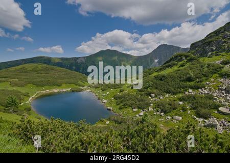 Vue sur l'un des quatre lacs de montagne Rohacske plesa dans les montagnes Vysoke Tatry. Les lacs sont à 1719 mètres au-dessus de la mer entourés de sommets montagneux. Banque D'Images
