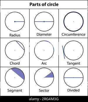 Pièces de diamètre du cercle. surligner en bleu. illustration vectorielle sur fond blanc. Illustration de Vecteur