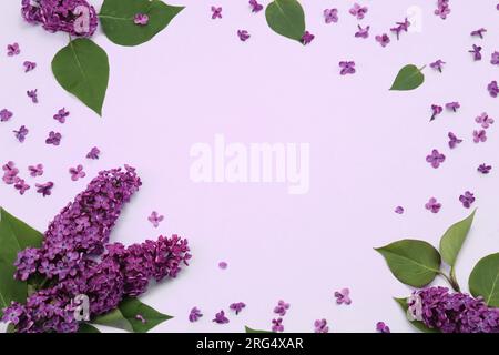 Cadre de belles fleurs lilas et feuilles vertes sur fond violet pâle, pose plate. Espace pour le texte Banque D'Images