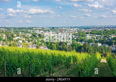 Wiesbaden : vue de la colline Neroberg au centre-ville, vignoble à Rheingau, Hesse, Hesse, Allemagne Banque D'Images