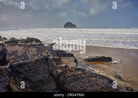 Un rivage rocheux et sablonneux à marée basse, à Trebarwith Strand, près de Tintagel, sur la côte atlantique des Cornouailles, en Grande-Bretagne. Banque D'Images