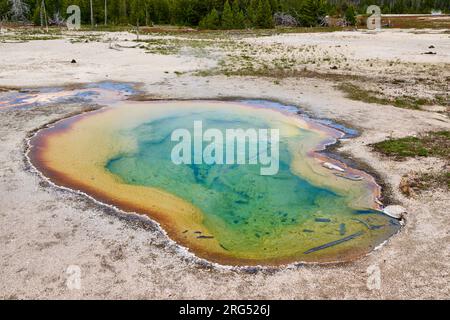 West Geyser, Biscuit Basin, parc national de Yellowstone, Wyoming, États-Unis d'Amérique Banque D'Images