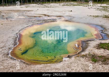 West Geyser, Biscuit Basin, parc national de Yellowstone, Wyoming, États-Unis d'Amérique Banque D'Images