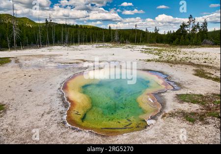 West Geyser, Biscuit Basin, parc national de Yellowstone, Wyoming, États-Unis d'Amérique Banque D'Images