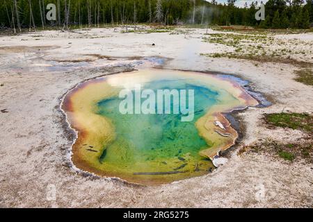 West Geyser, Biscuit Basin, parc national de Yellowstone, Wyoming, États-Unis d'Amérique Banque D'Images