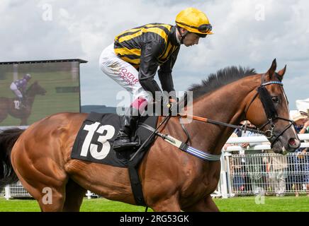 Le jockey Oisin Murphy chevauchant Whenthedealisdone le jour 1 du Qatar Goodwood Festival Meeting 2023 à Goodwood Racecourse, Chichester Banque D'Images