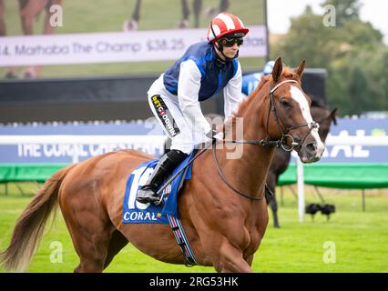 Le jockey Hayley Turner sur Moktasaab le jour 1 de la réunion du Qatar Goodwood Festival 2023 à l'hippodrome de Goodwood, Chichester Banque D'Images