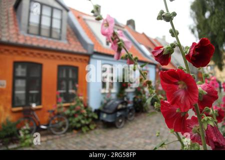 Maisons traditionnelles à Mollestien, Aarhus, Danemark. Banque D'Images