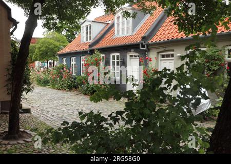 Maisons traditionnelles à Mollestien, Aarhus, Danemark. Banque D'Images