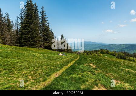 Hala Rycerzowa avec des collines sur le fond dans les montagnes Beskid Zywiecki en Pologne pendant la belle journée de printemps Banque D'Images