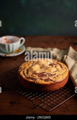 Tarte zèbre chocolat et vanille avec morceau coupé sur plaque. Gâteau au chocolat en marbre fait maison Banque D'Images