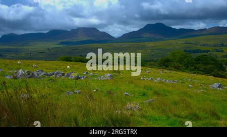 Les montagnes Rhinog depuis Bronaber, Gwynedd PAYS DE GALLES Royaume-Uni Banque D'Images