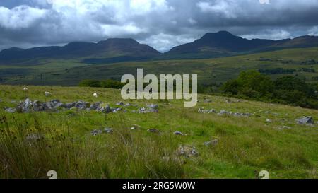 Les montagnes Rhinog depuis Bronaber, Gwynedd PAYS DE GALLES Royaume-Uni Banque D'Images