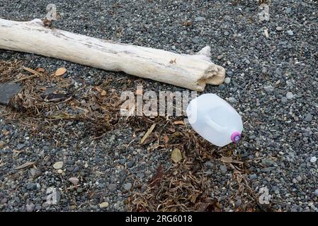 Contenant de lait en plastique et bûche, Île de Vancouver, B.C Canada. Banque D'Images