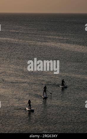 Silhouette de personnes pagayant sur la mer au coucher du soleil. Banque D'Images