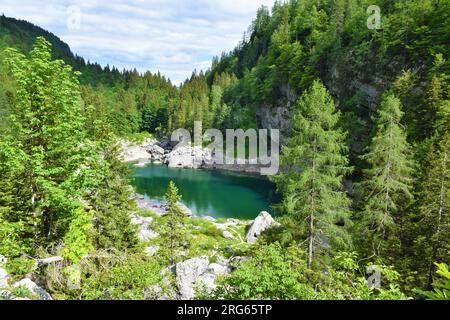 Vue panoramique du lac Noir dans la vallée des lacs Triglav dans les alpes juliennes, Slovénie entourée d'une forêt mixte de conifères et de feuillus Banque D'Images