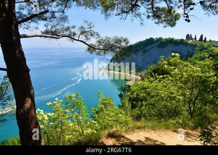 Vue panoramique de la baie de Lune sur la côte de la mer Adriatique à Strunjan en Istrie, Slovénie avec une végétation méditerranéenne typique Banque D'Images