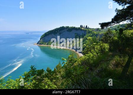 Vue panoramique de la baie de Lune sur la côte de la mer Adriatique à Strunjan en Istrie, Slovénie avec une végétation méditerranéenne typique Banque D'Images