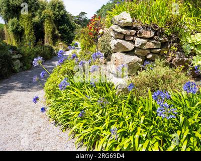 The Top Terrace, Tresco Abbey Gardens, Tresco, Isles of Scilly, Cornouailles, Angleterre, Royaume-Uni, GB. Banque D'Images