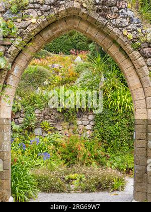 Le Prieuré de Saint-Nicolas, le Prieuré de Tresco, les ruines de l'Abbaye, les Jardins de l'Abbaye de Tresco, Tresco, îles Scilly, Cornouailles, Angleterre, Royaume-Uni, GB. Banque D'Images