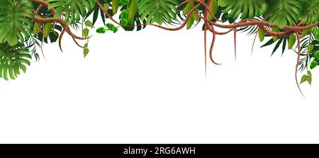 Branches composition de jungle tropicale avec cadre supérieur de feuilles exotiques et de vignes avec espace vide au-dessous de l'illustration vectorielle Illustration de Vecteur