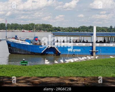 Bateau à passagers bleu sur le Danube dans la ville de Belgrade, Serbie. 07 août 2023. Banque D'Images