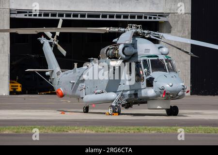 Kaman SH-2G(I) Super Seasprite hélicoptère de la Royal New Zealand Navy. Banque D'Images